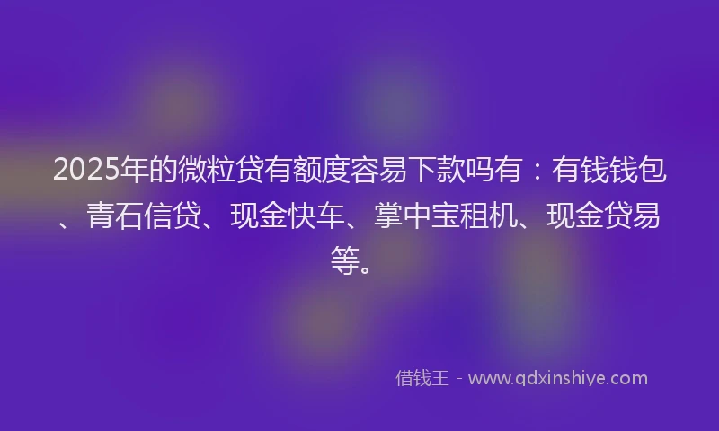 2025年的微粒贷有额度容易下款吗有：有钱钱包、青石信贷、现金快车、掌中宝租机、现金贷易等。