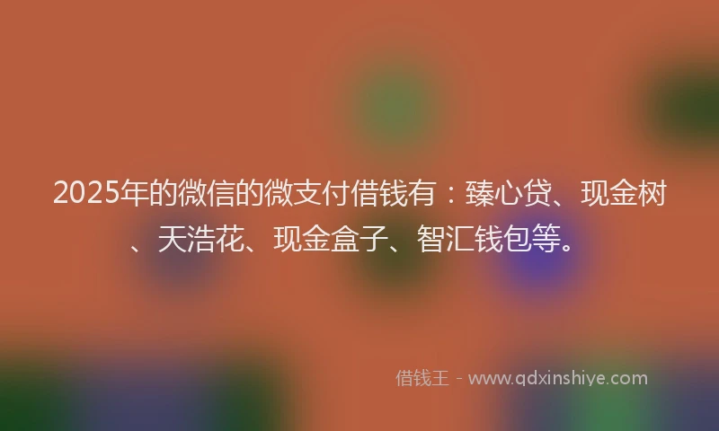 2025年的微信的微支付借钱有：臻心贷、现金树、天浩花、现金盒子、智汇钱包等。