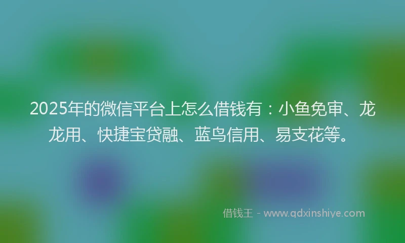 2025年的微信平台上怎么借钱有：小鱼免审、龙龙用、快捷宝贷融、蓝鸟信用、易支花等。