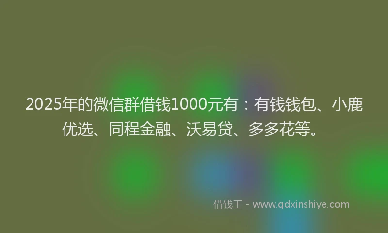 2025年的微信群借钱1000元有：有钱钱包、小鹿优选、同程金融、沃易贷、多多花等。