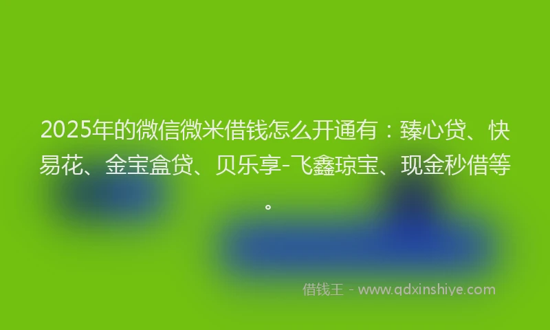 2025年的微信微米借钱怎么开通有：臻心贷、快易花、金宝盒贷、贝乐享-飞鑫琼宝、现金秒借等。