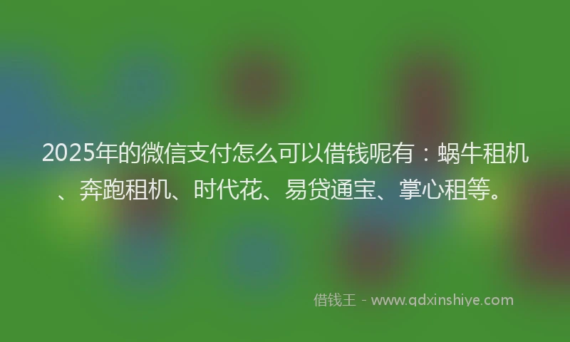 2025年的微信支付怎么可以借钱呢有：蜗牛租机、奔跑租机、时代花、易贷通宝、掌心租等。