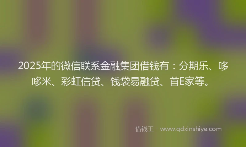 2025年的微信联系金融集团借钱有：分期乐、哆哆米、彩虹信贷、钱袋易融贷、首E家等。