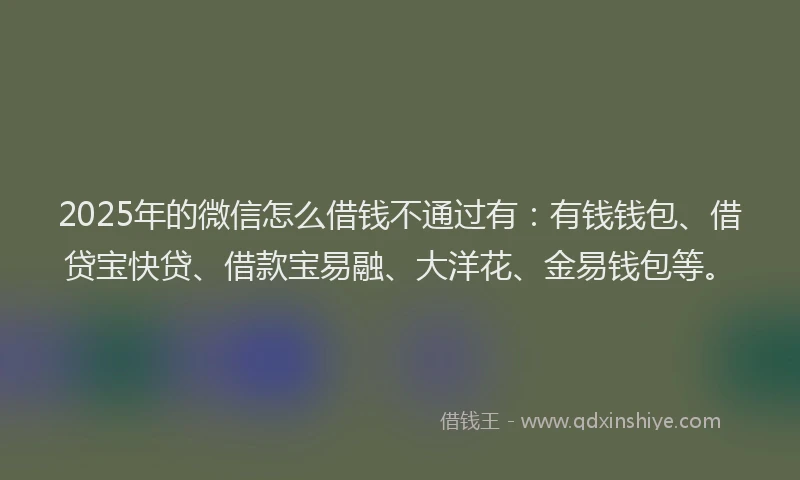 2025年的微信怎么借钱不通过有：有钱钱包、借贷宝快贷、借款宝易融、大洋花、金易钱包等。