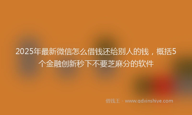 2025年最新微信怎么借钱还给别人的钱，概括5个金融创新秒下不要芝麻分的软件