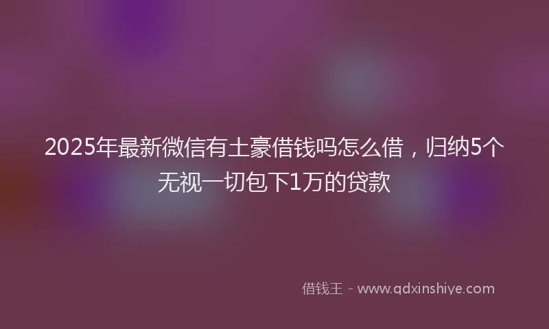 2025年最新微信有土豪借钱吗怎么借，归纳5个无视一切包下1万的贷款