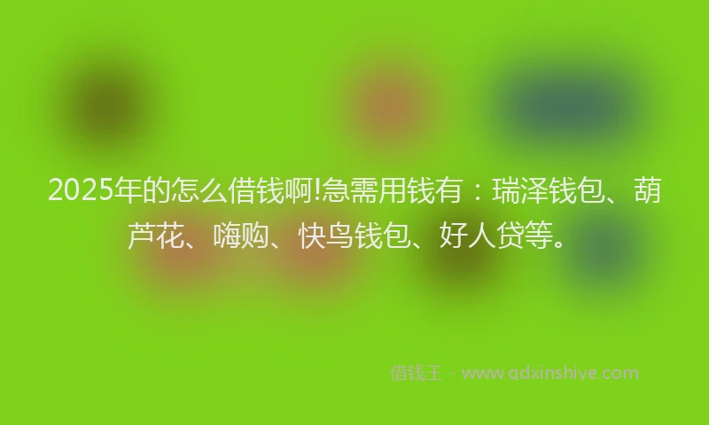 2025年的怎么借钱啊!急需用钱有：瑞泽钱包、葫芦花、嗨购、快鸟钱包、好人贷等。