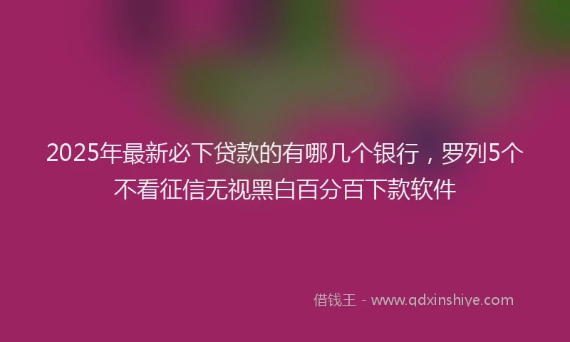 2025年最新必下贷款的有哪几个银行，罗列5个不看征信无视黑白百分百下款软件