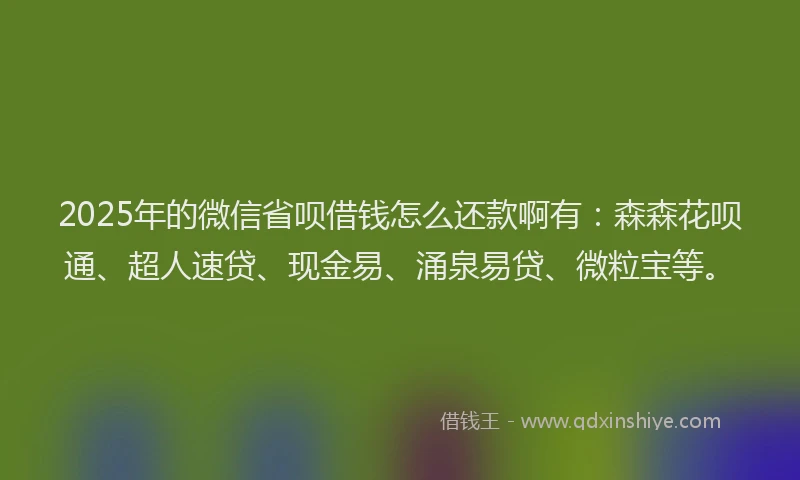 2025年的微信省呗借钱怎么还款啊有：森森花呗通、超人速贷、现金易、涌泉易贷、微粒宝等。