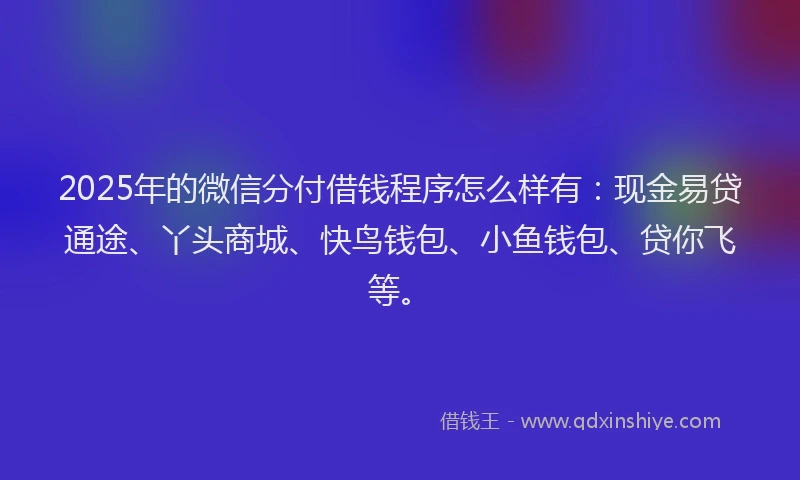 2025年的微信分付借钱程序怎么样有：现金易贷通途、丫头商城、快鸟钱包、小鱼钱包、贷你飞等。