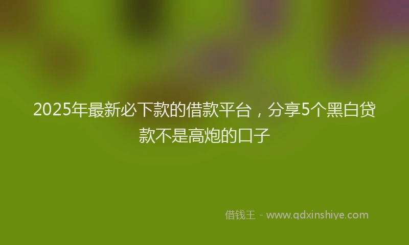 2025年最新必下款的借款平台，分享5个黑白贷款不是高炮的口子