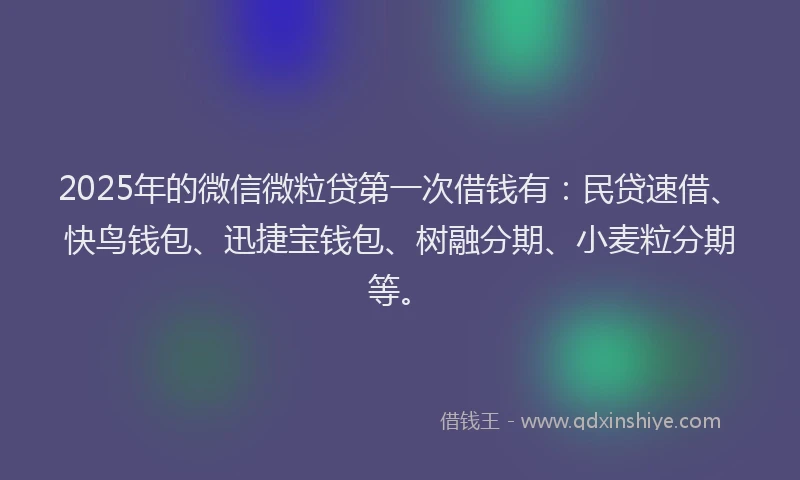 2025年的微信微粒贷第一次借钱有：民贷速借、快鸟钱包、迅捷宝钱包、树融分期、小麦粒分期等。