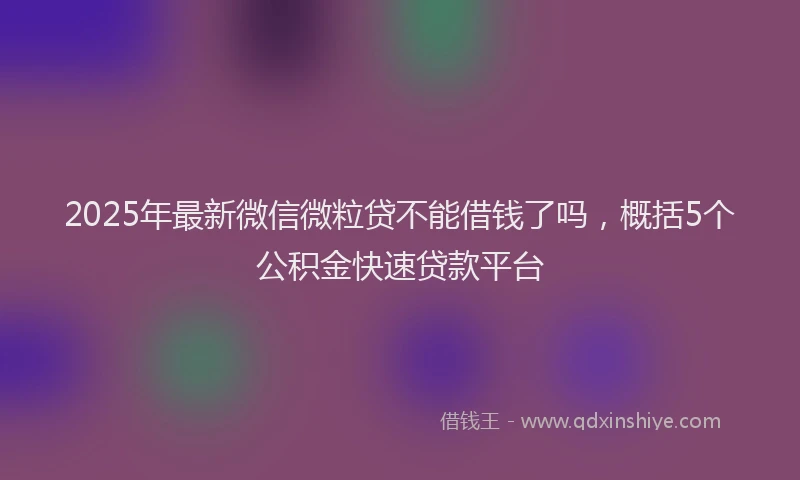 2025年最新微信微粒贷不能借钱了吗，概括5个公积金快速贷款平台