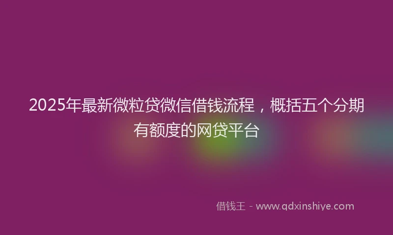 2025年最新微粒贷微信借钱流程，概括五个分期有额度的网贷平台