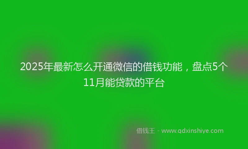 2025年最新怎么开通微信的借钱功能，盘点5个11月能贷款的平台