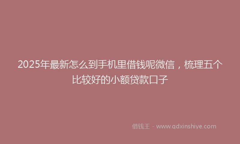 2025年最新怎么到手机里借钱呢微信，梳理五个比较好的小额贷款口子