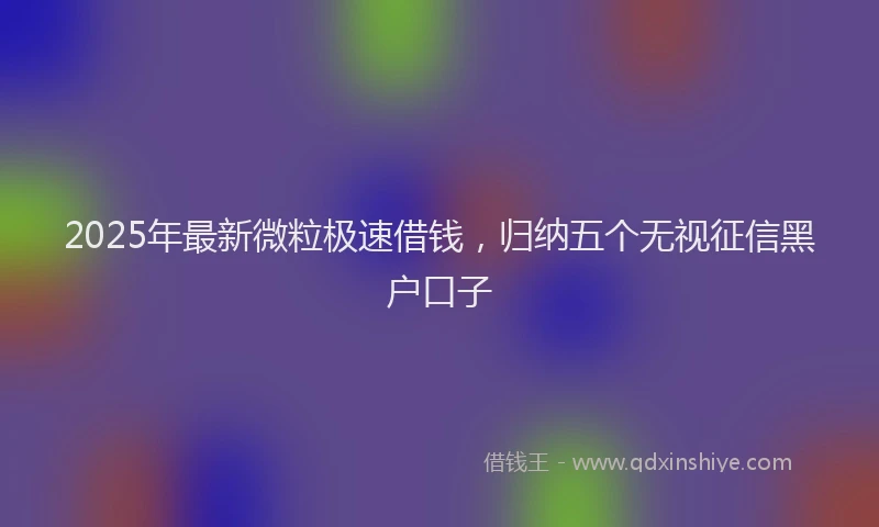 2025年最新微粒极速借钱，归纳五个无视征信黑户口子