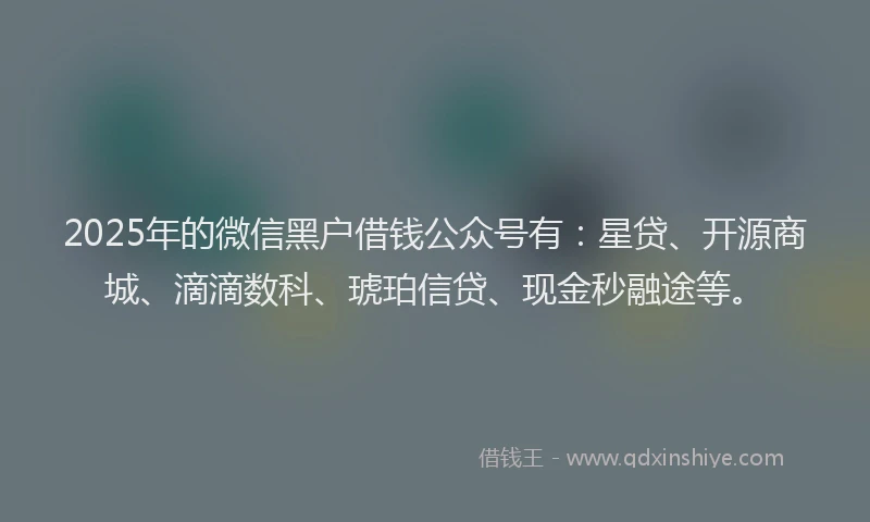 2025年的微信黑户借钱公众号有：星贷、开源商城、滴滴数科、琥珀信贷、现金秒融途等。