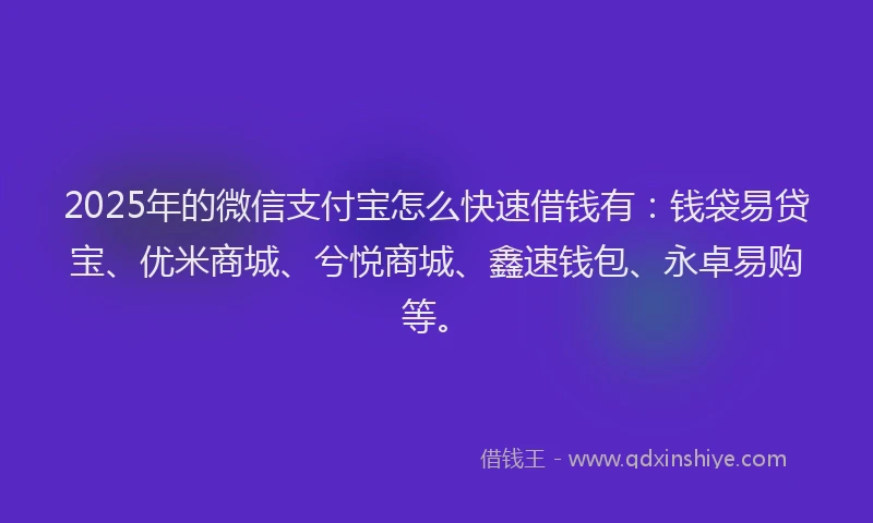 2025年的微信支付宝怎么快速借钱有：钱袋易贷宝、优米商城、兮悦商城、鑫速钱包、永卓易购等。