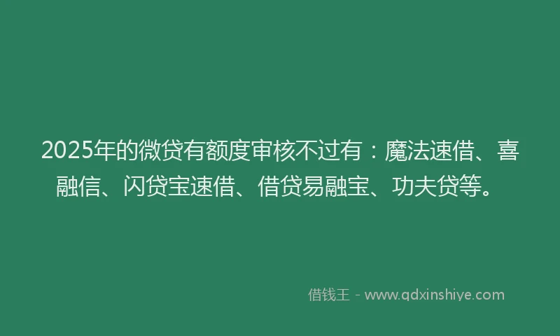 2025年的微贷有额度审核不过有：魔法速借、喜融信、闪贷宝速借、借贷易融宝、功夫贷等。