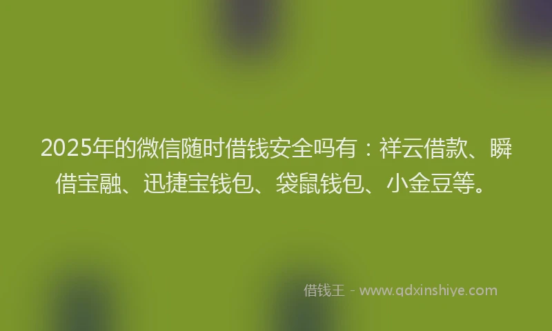 2025年的微信随时借钱安全吗有：祥云借款、瞬借宝融、迅捷宝钱包、袋鼠钱包、小金豆等。