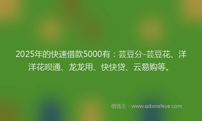 2025年的快速借款5000有：芸豆分-芸豆花、洋洋花呗通、龙龙用、快快贷、云易购等。
