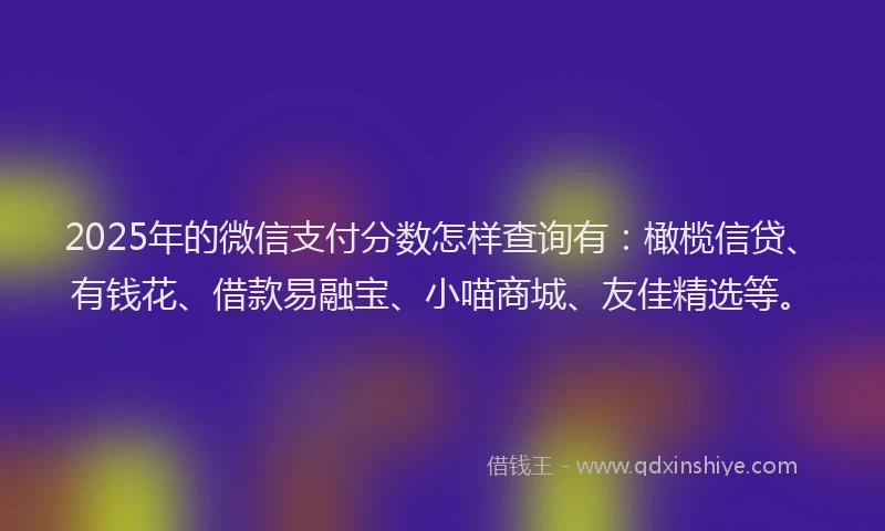 2025年的微信支付分数怎样查询有：橄榄信贷、有钱花、借款易融宝、小喵商城、友佳精选等。
