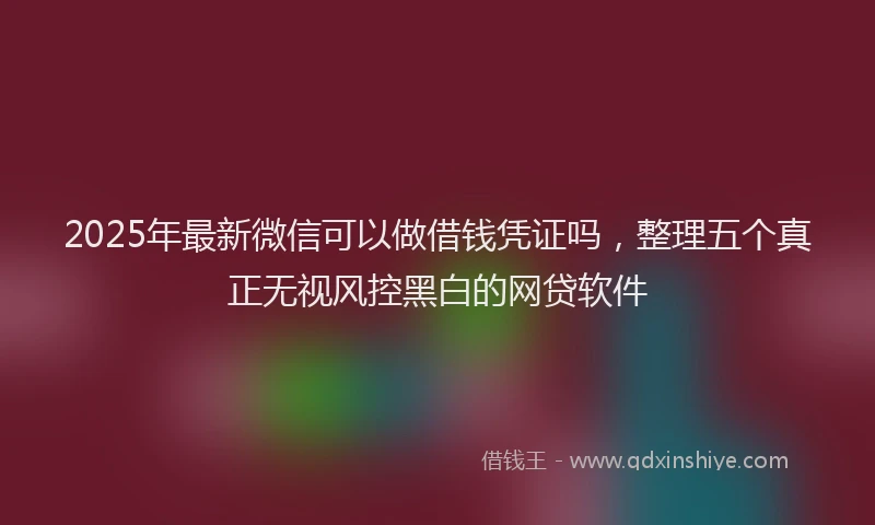 2025年最新微信可以做借钱凭证吗，整理五个真正无视风控黑白的网贷软件