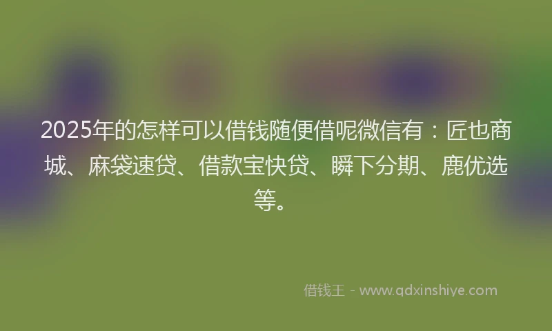 2025年的怎样可以借钱随便借呢微信有：匠也商城、麻袋速贷、借款宝快贷、瞬下分期、鹿优选等。