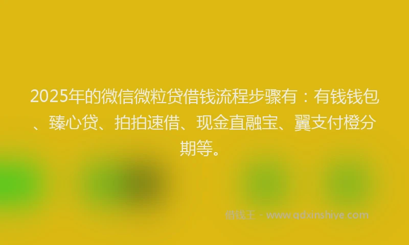 2025年的微信微粒贷借钱流程步骤有：有钱钱包、臻心贷、拍拍速借、现金直融宝、翼支付橙分期等。