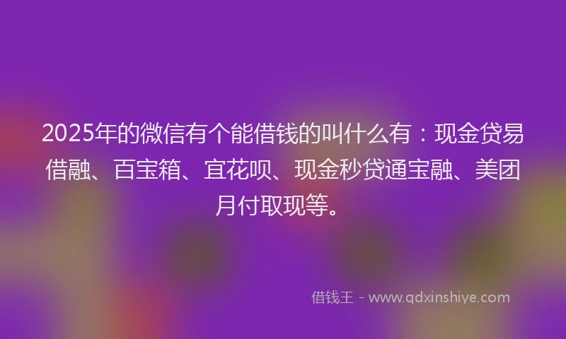 2025年的微信有个能借钱的叫什么有：现金贷易借融、百宝箱、宜花呗、现金秒贷通宝融、美团月付取现等。