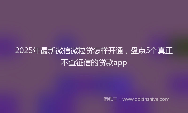 2025年最新微信微粒贷怎样开通，盘点5个真正不查征信的贷款app