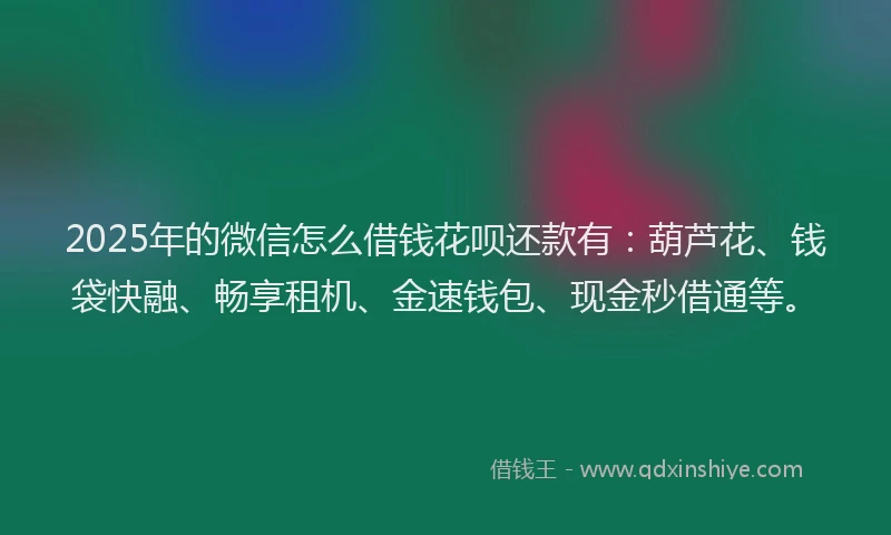 2025年的微信怎么借钱花呗还款有：葫芦花、钱袋快融、畅享租机、金速钱包、现金秒借通等。