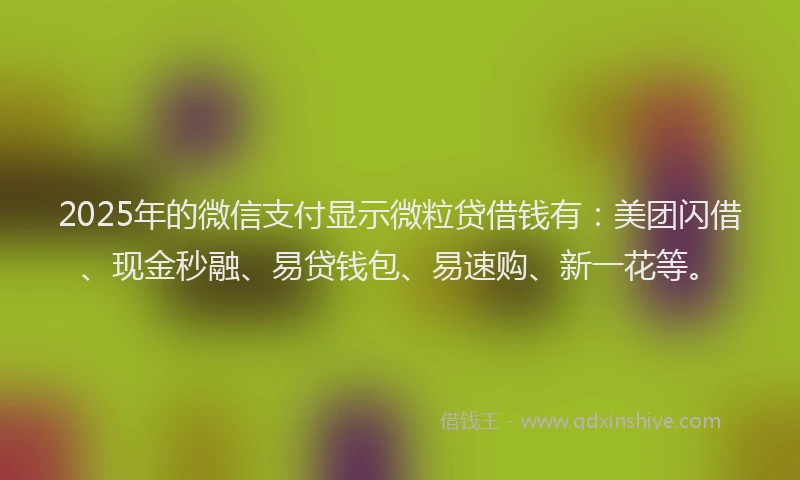 2025年的微信支付显示微粒贷借钱有：美团闪借、现金秒融、易贷钱包、易速购、新一花等。