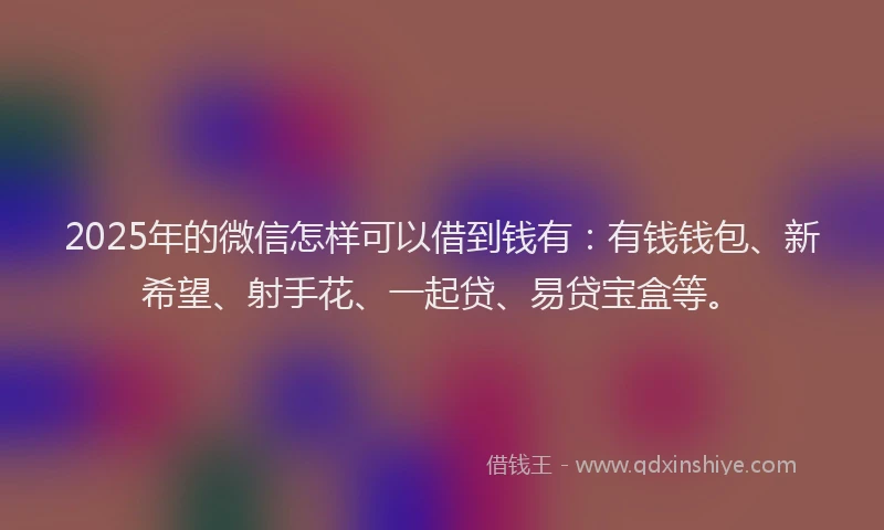 2025年的微信怎样可以借到钱有：有钱钱包、新希望、射手花、一起贷、易贷宝盒等。