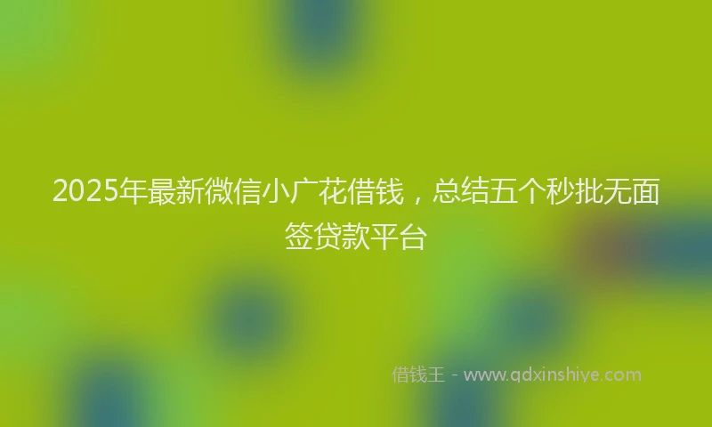2025年最新微信小广花借钱，总结五个秒批无面签贷款平台