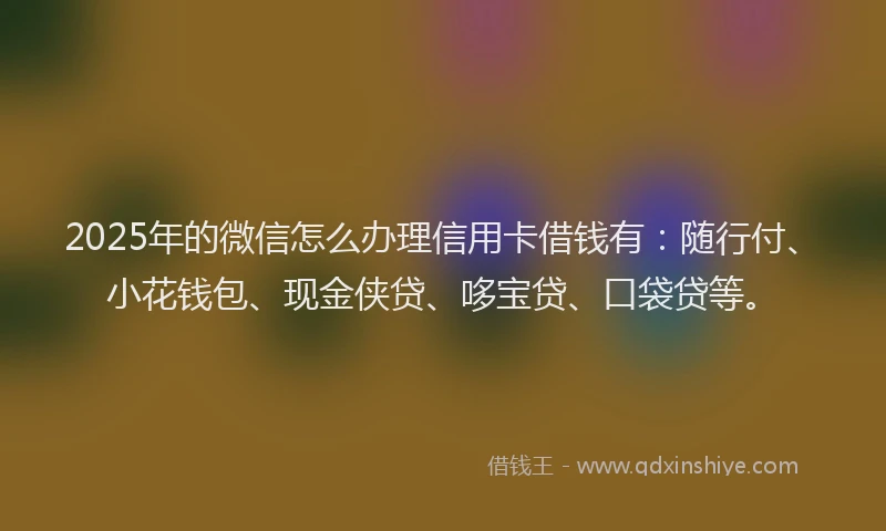 2025年的微信怎么办理信用卡借钱有：随行付、小花钱包、现金侠贷、哆宝贷、口袋贷等。