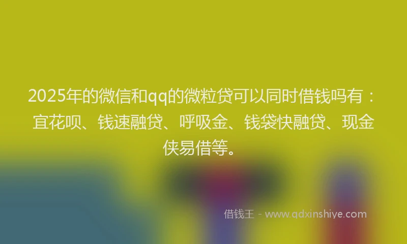 2025年的微信和qq的微粒贷可以同时借钱吗有：宜花呗、钱速融贷、呼吸金、钱袋快融贷、现金侠易借等。