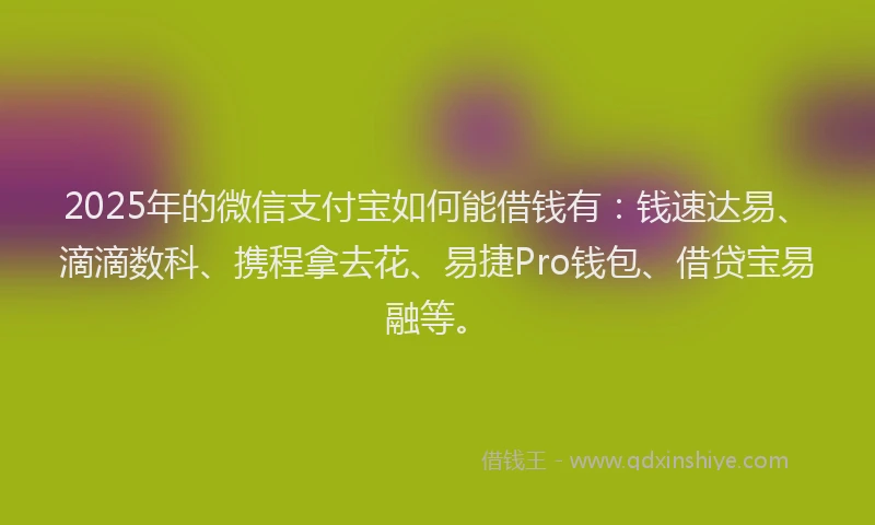 2025年的微信支付宝如何能借钱有：钱速达易、滴滴数科、携程拿去花、易捷Pro钱包、借贷宝易融等。