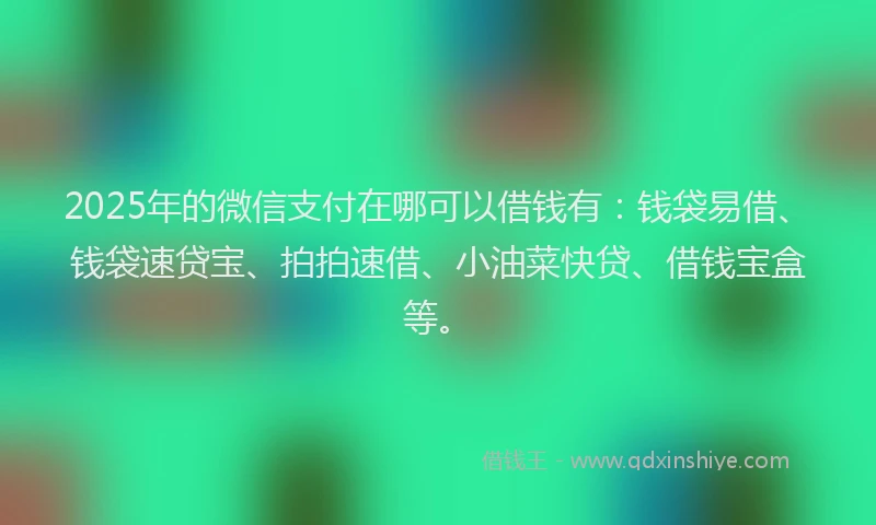 2025年的微信支付在哪可以借钱有：钱袋易借、钱袋速贷宝、拍拍速借、小油菜快贷、借钱宝盒等。