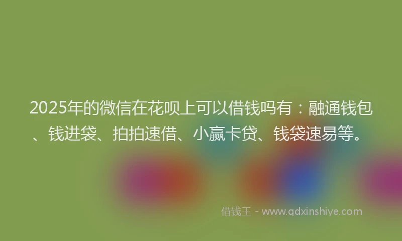 2025年的微信在花呗上可以借钱吗有：融通钱包、钱进袋、拍拍速借、小赢卡贷、钱袋速易等。