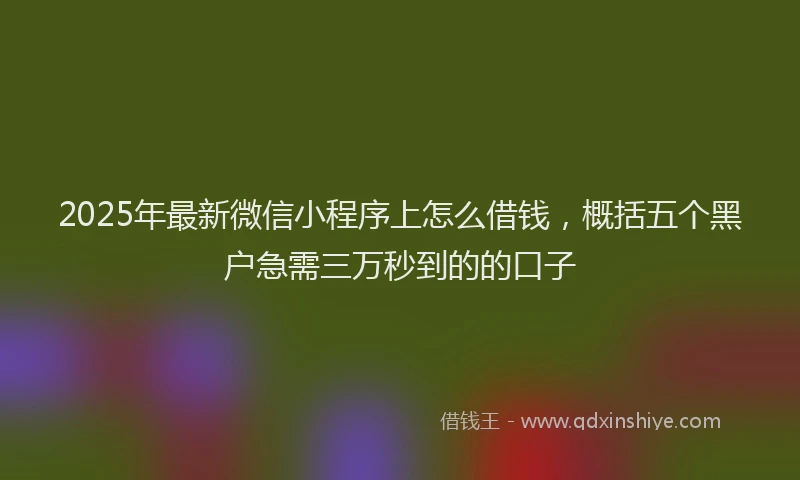 2025年最新微信小程序上怎么借钱，概括五个黑户急需三万秒到的的口子