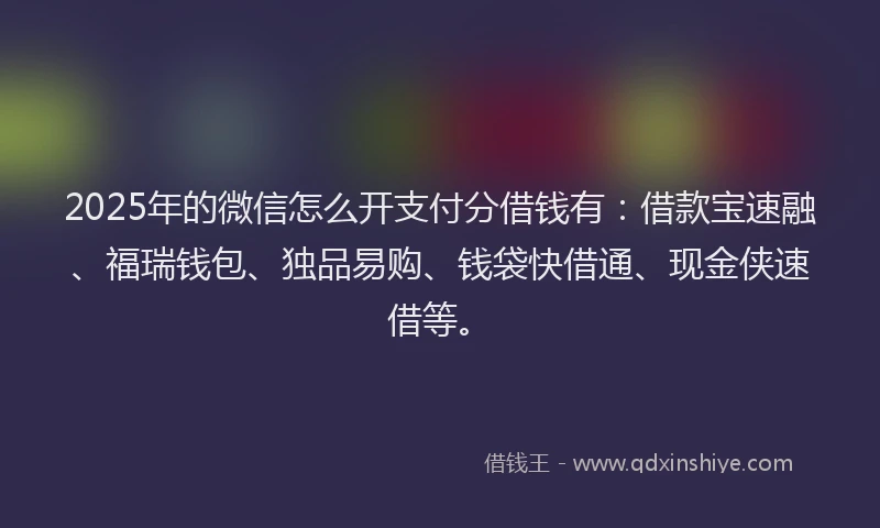2025年的微信怎么开支付分借钱有：借款宝速融、福瑞钱包、独品易购、钱袋快借通、现金侠速借等。
