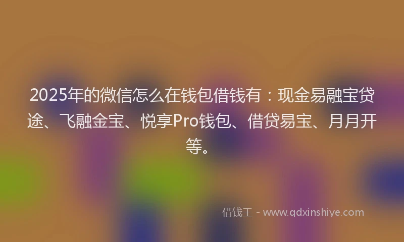 2025年的微信怎么在钱包借钱有：现金易融宝贷途、飞融金宝、悦享Pro钱包、借贷易宝、月月开等。