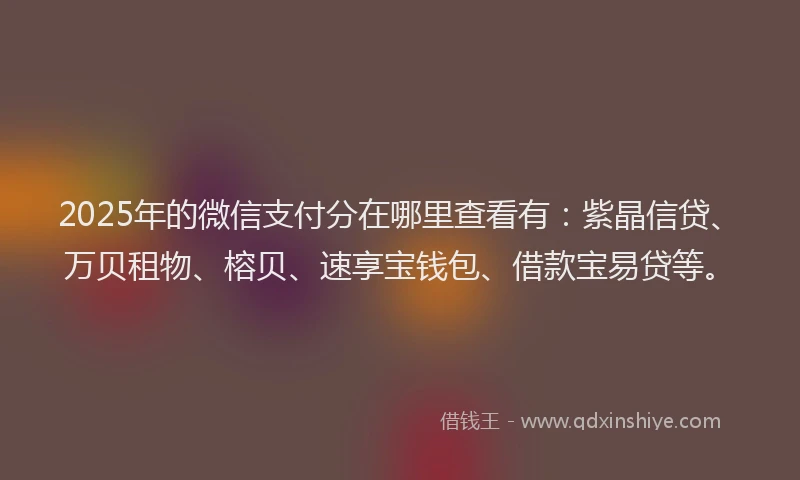 2025年的微信支付分在哪里查看有：紫晶信贷、万贝租物、榕贝、速享宝钱包、借款宝易贷等。