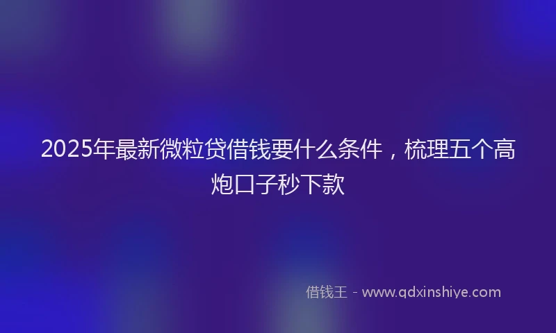 2025年最新微粒贷借钱要什么条件，梳理五个高炮口子秒下款