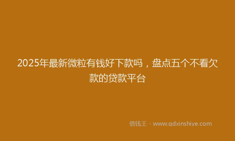 2025年最新微粒有钱好下款吗，盘点五个不看欠款的贷款平台