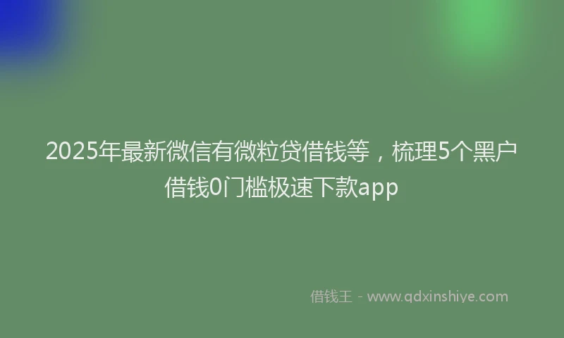 2025年最新微信有微粒贷借钱等，梳理5个黑户借钱0门槛极速下款app