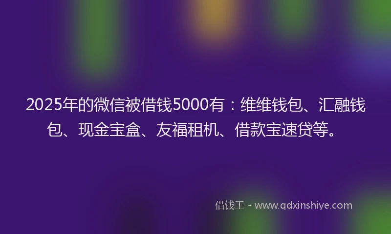 2025年的微信被借钱5000有：维维钱包、汇融钱包、现金宝盒、友福租机、借款宝速贷等。