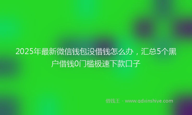 2025年最新微信钱包没借钱怎么办，汇总5个黑户借钱0门槛极速下款口子